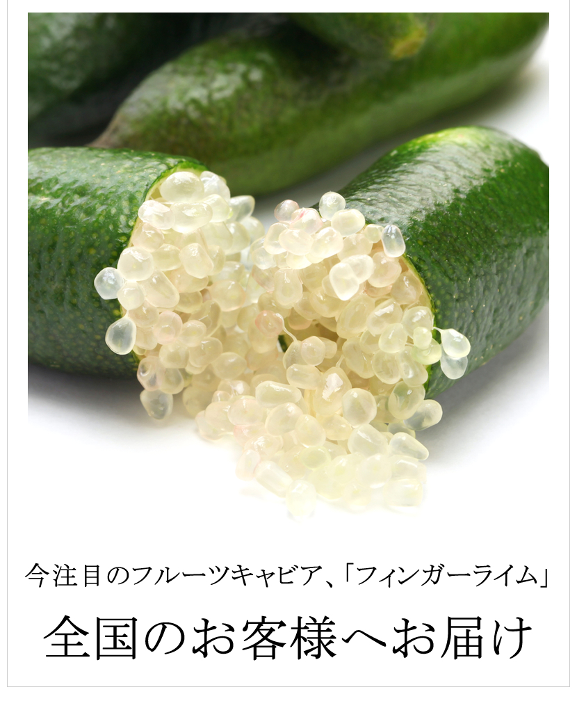 国内産 冷凍フィンガーライム