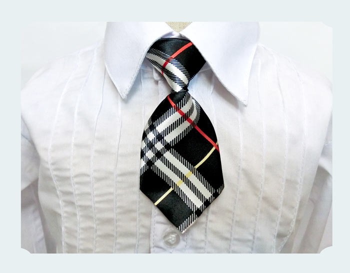 フォーマル 男の子 ネクタイ 蝶タイ