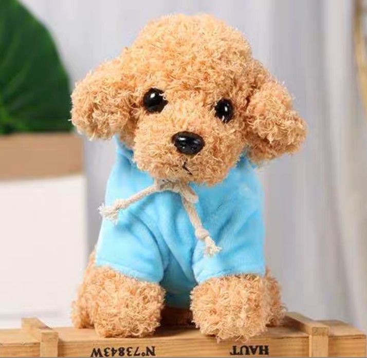 ぬいぐるみ いぬ 犬 わんこ パーカー 25cm おすわり 着せ替え