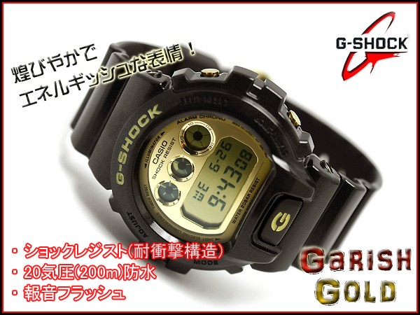 G-SHOCK Gショック ジーショック g-shock gショック ガリッシュゴールドシリーズ ダークブラウン×メタリックゴールド  DW-6900BR-5JF CASIO 腕時計