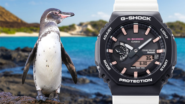 新品・未使用★国内正規品★G-SHOCK★GA-B2100CD-1A7JR G-SHOCK GA-B2100CD-1A7JR メンズ 腕時計 アナデジ ソーラー