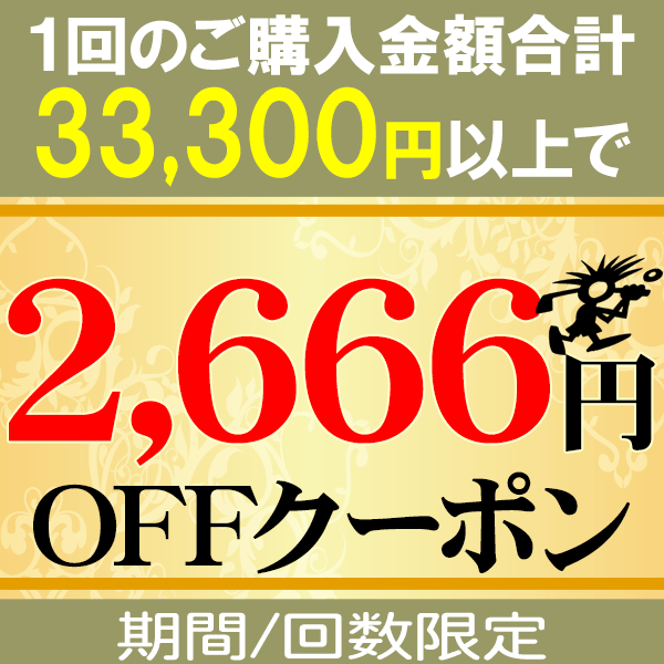 【期間限定】 合計33,300円以上ご購入で 2,666円OFFクーポン GZONE