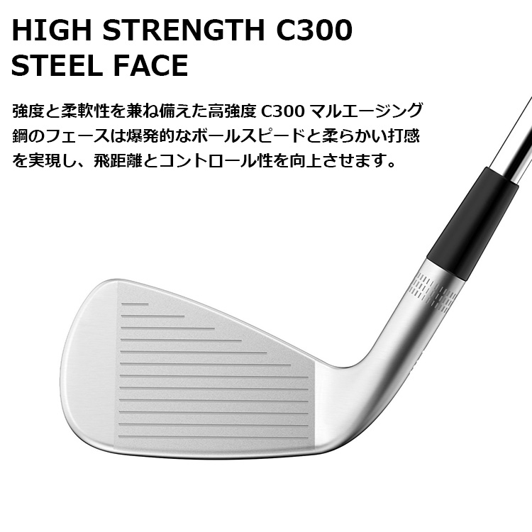 WILLSON (期間限定) ウィルソン スタッフ モデル RB