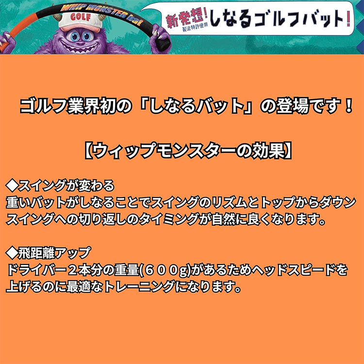 ウィップモンスターバット しなるバット スイング練習器 : ジーゾーン