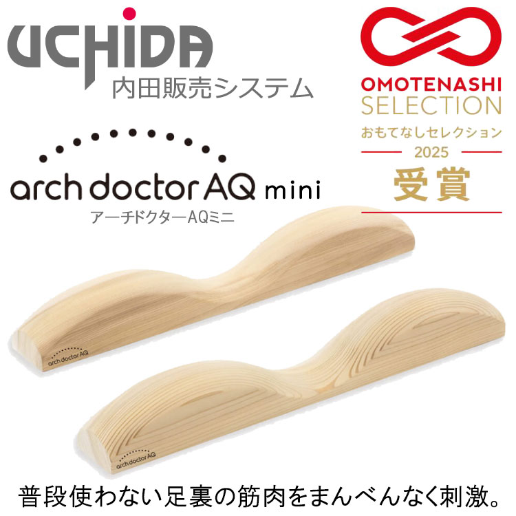 【送料無料】内田販売システム アーチドクターAQ ADM-PL 健康器具 UCHIDA 内田販売システム アーチドクターAQミニ トレーニング用品 健康