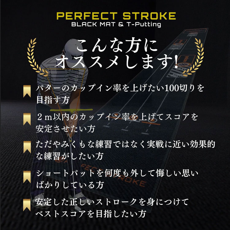 期間限定)(送料無料) PERFECT STROKE パーフェクトストローク ブラック
