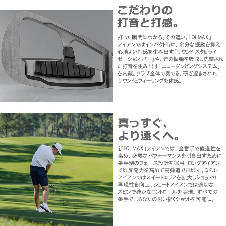 TaylorMade（テーラーメイド） (期間限定) Qi MAX LITE レディース