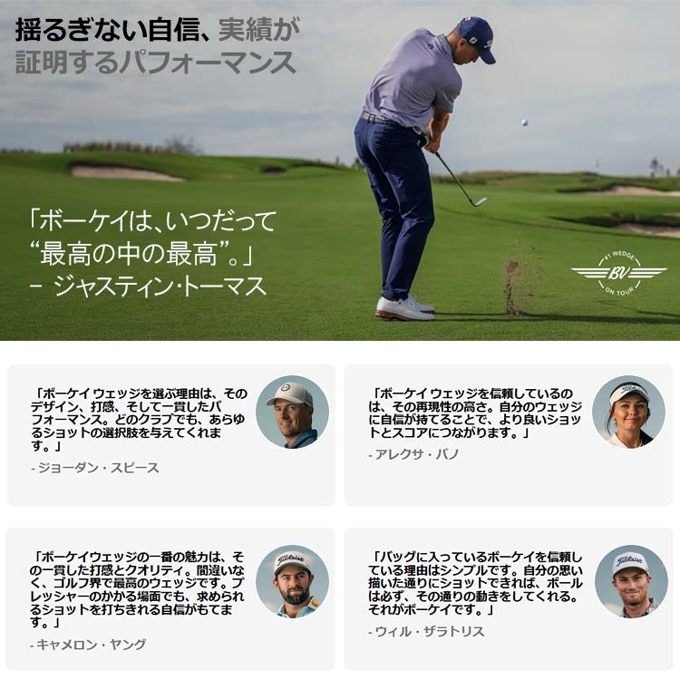 Titleist（タイトリスト） (期間限定) VOKEY SM11 ウェッジ ニッケル