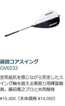 Tabata（タバタ） 【期間限定】 ゴルフ 藤田コアスイング GV0233