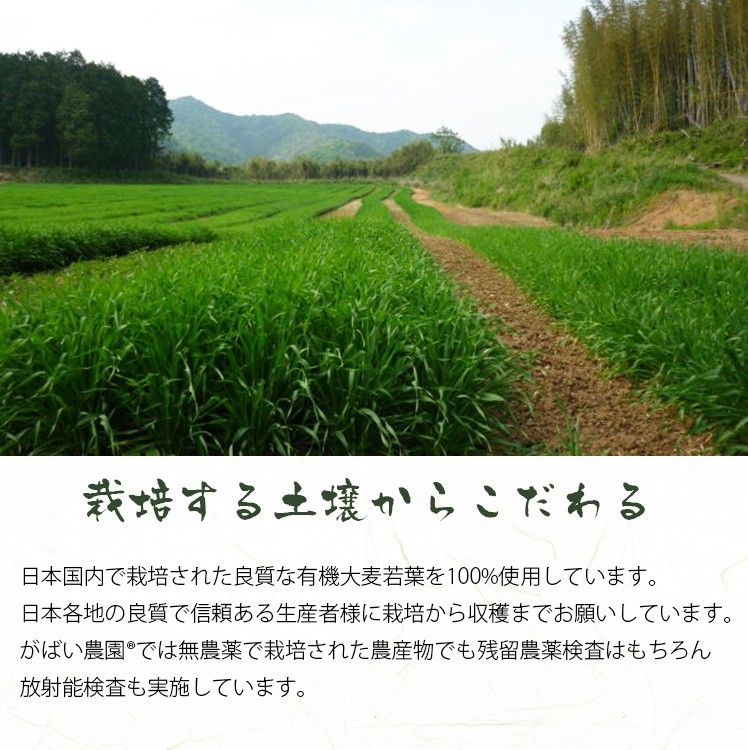 有機栽培 大麦若葉青汁 国産
