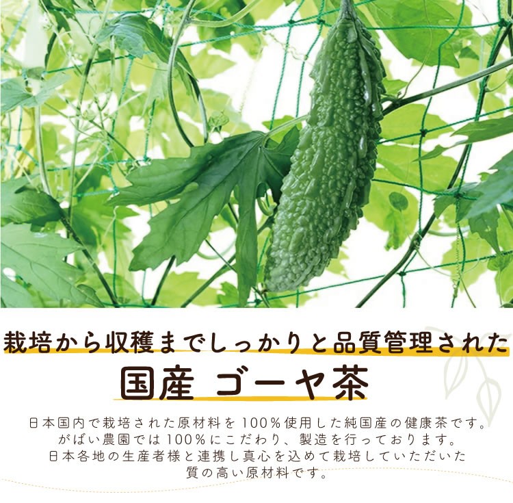 ゴーヤ茶 2g×30包 国産 長野県産 残留農薬・放射能検査済【お茶/ノン