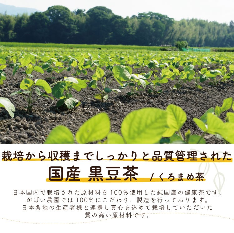 黒豆茶 5g×40包 （お得な3個セット） 国産（北海道産） 残留農薬・放射能検査済 :5:がばい農園 - 通販 - Yahoo!ショッピング