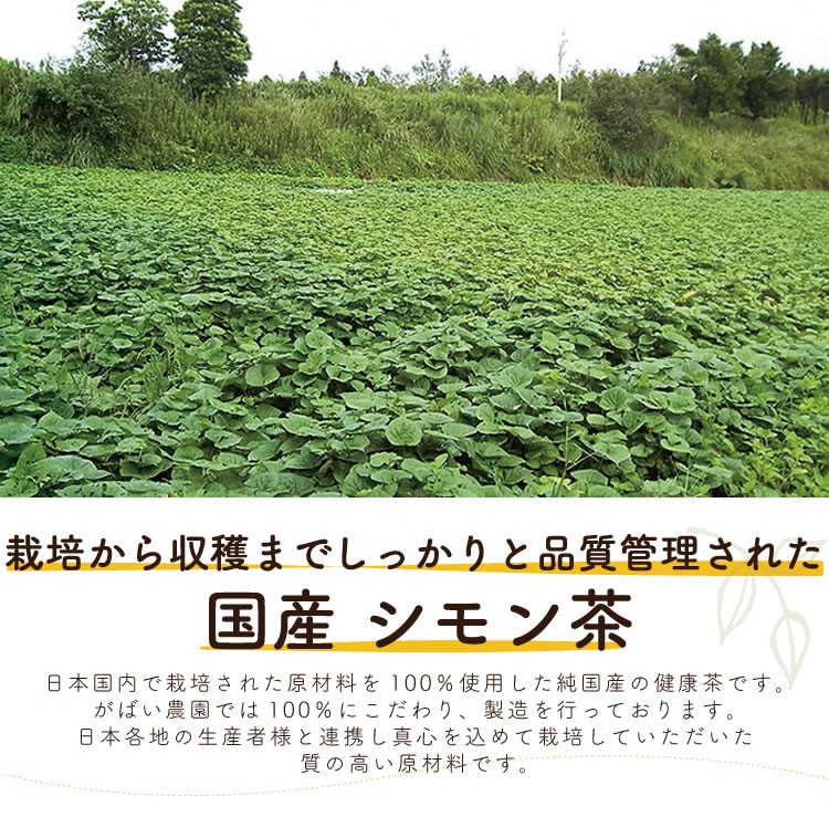 シモン茶 3g×30包 （お得な3個セット） 国産（鹿児島県産） 残留農薬・放射能検査済 :101:がばい農園 - 通販 - Yahoo!ショッピング