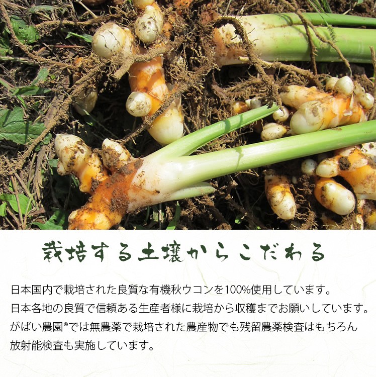国産 有機栽培 秋ウコン粉末