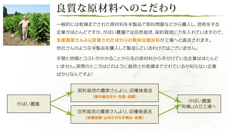 国産 有機栽培 秋ウコン粉末