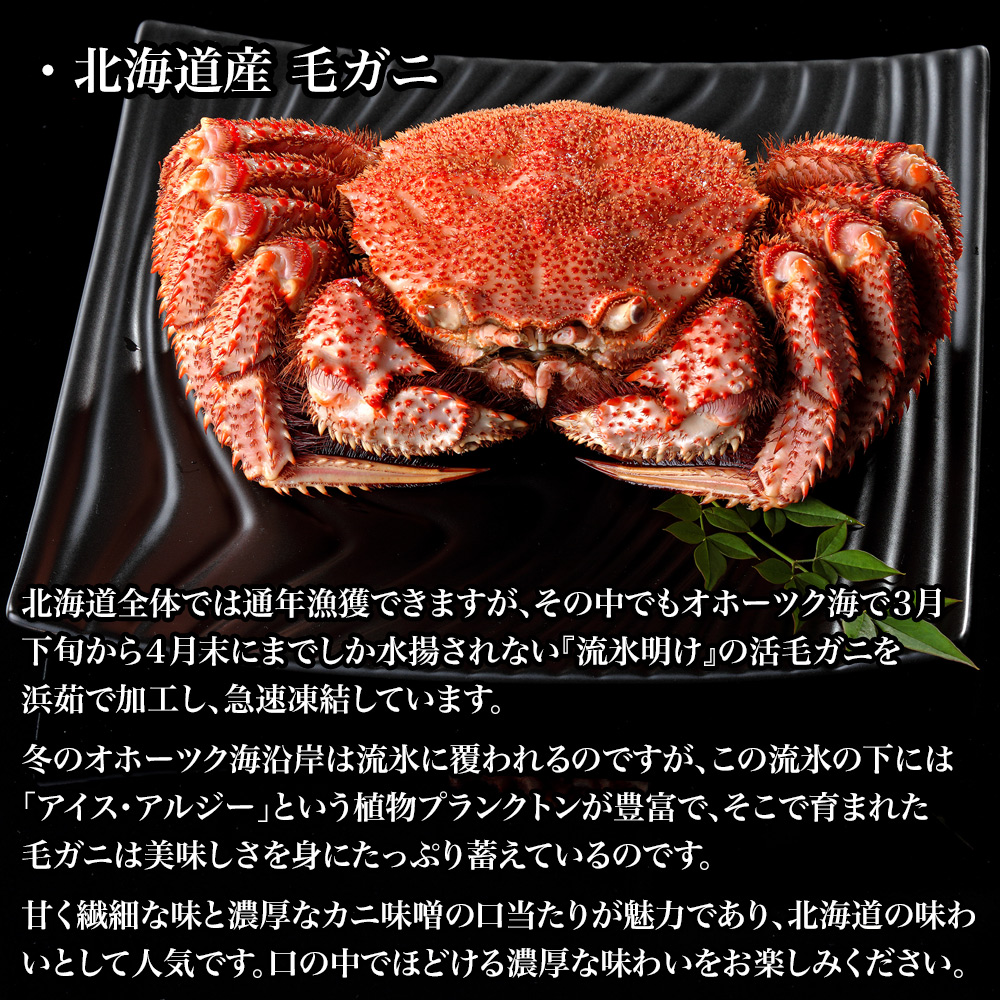 商品画像2