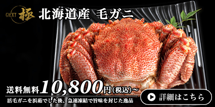 GACKTxOCEAN - Yahoo!ショッピング