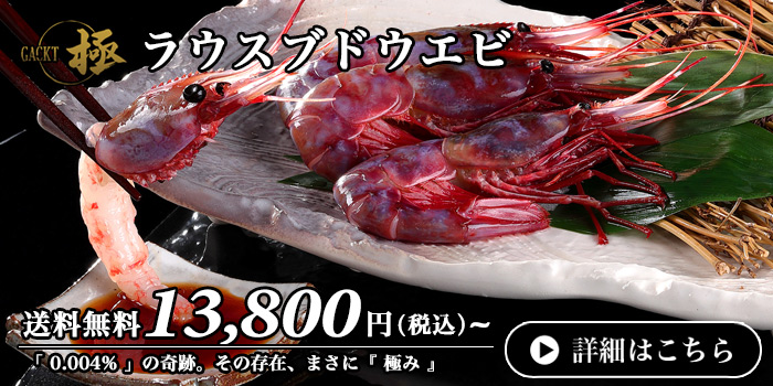 GACKTxOCEAN - Yahoo!ショッピング
