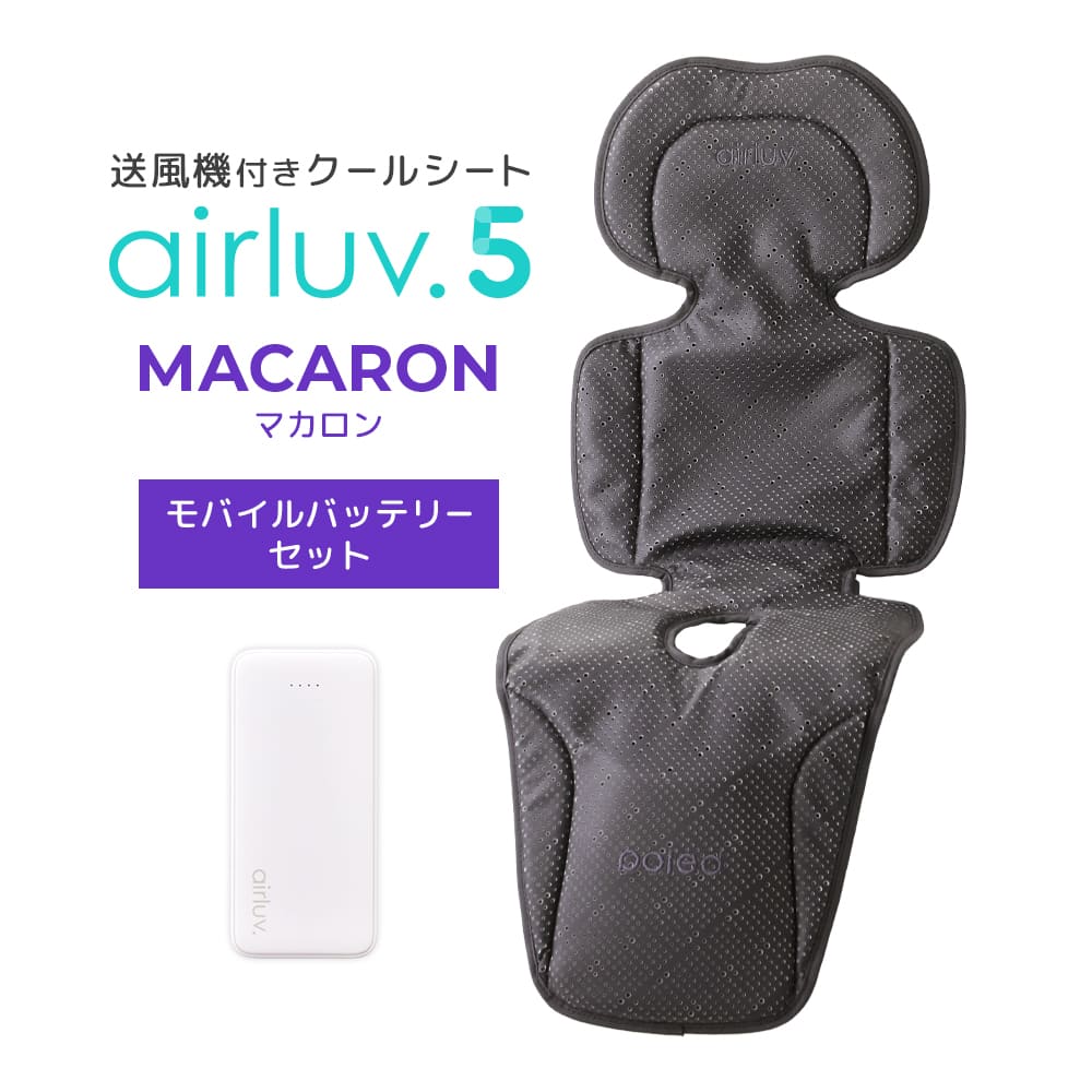 エアラブ4プラス　クールグレイ　エアラブ対応バッテリー　セット Poled 【在庫限り20％OFF】Poled公式 エアラブ4プラス オレオ(airluv4+