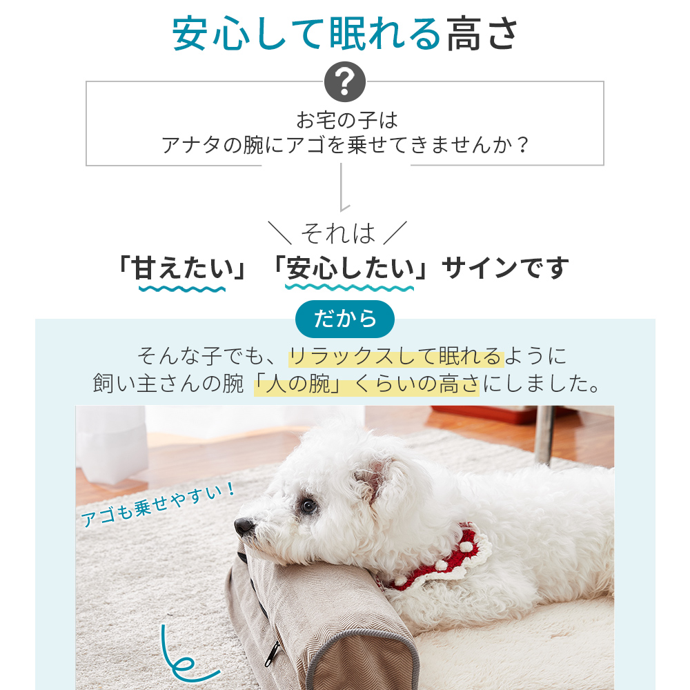 ペットベッド 犬 猫 洗える S 犬用 ベッド 猫用 ペットソファ 冬 暖かい 超小型犬 老犬  シニア  犬用ベッド 犬のベッド 介護 L字 U字 AIFY アイフィー | AIFY | 13