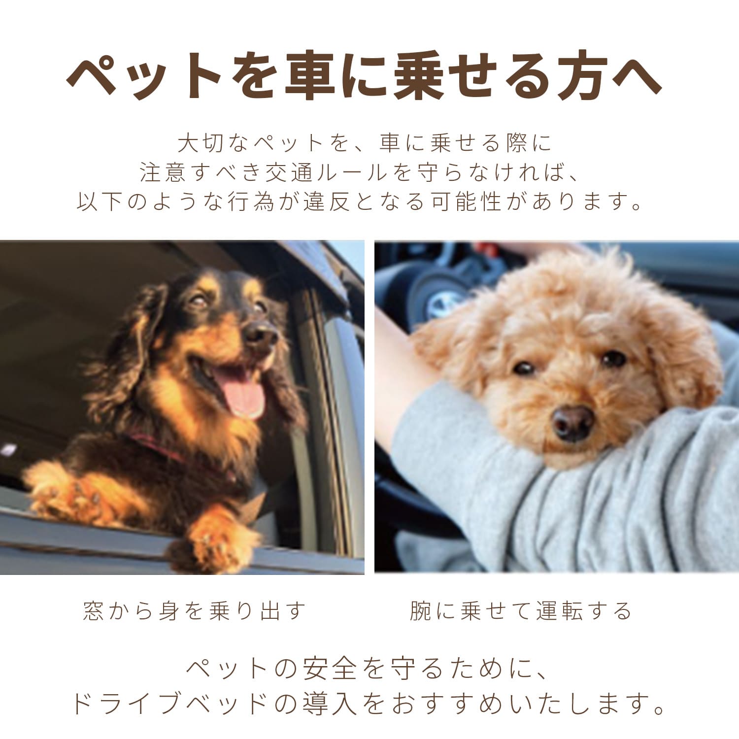 ドライブボックス 犬 車 小型犬 クッション ドライブベッド 犬 車用ベッド 助手席 ベッドキャリー ペットキャリー キャリーバッグ ペットベッド ペット 冬