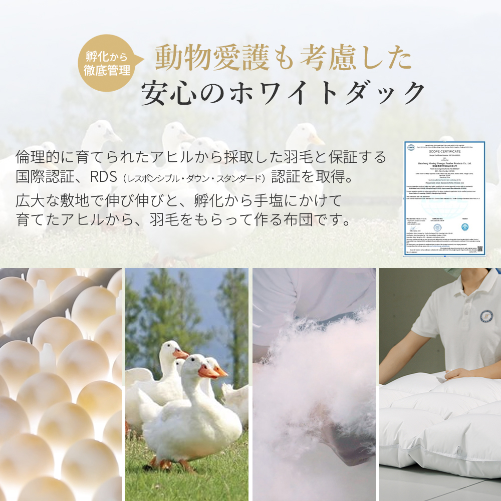 羽毛布団 ダブル 掛け布団 羽毛ふとん  冬用 ホワイトダックダウン 掛布団 布団 羽毛掛け布団 オールシーズン 羽根布団 抗菌 消臭 防ダニ加工 AIFY アイフィー | AIFY | 10