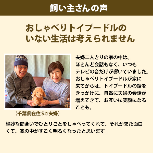 おしゃべりトイプードル : がくぶん特選館 Yahoo!店 - 通販 - Yahoo