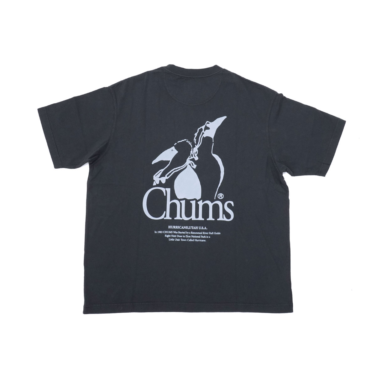 CHUMS チャムス Tシャツ 半そで ティーシャツ 製品染め 綿 S(Oversized