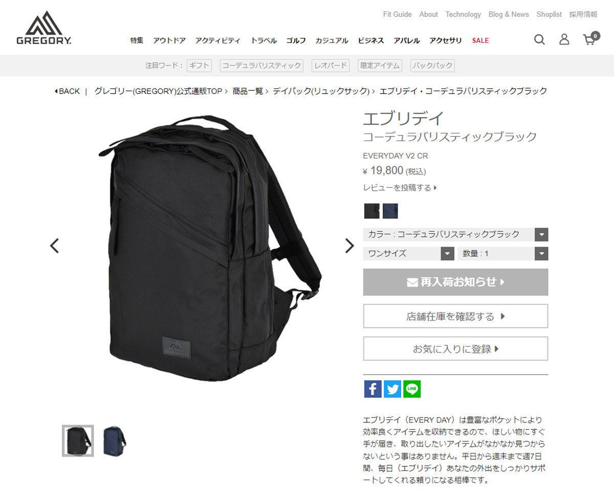 日本正規品 グレゴリー リュック GREGORY クラシック エブリデイ