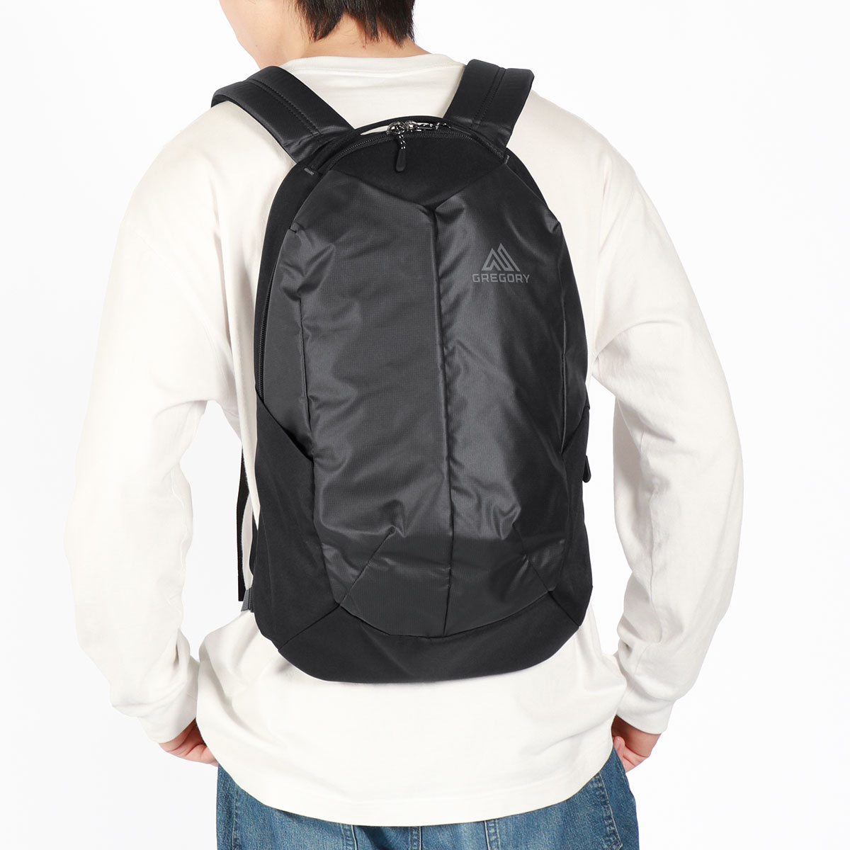 GREGORY 最大40%☆6/15限定 日本正規品 グレゴリー リュック