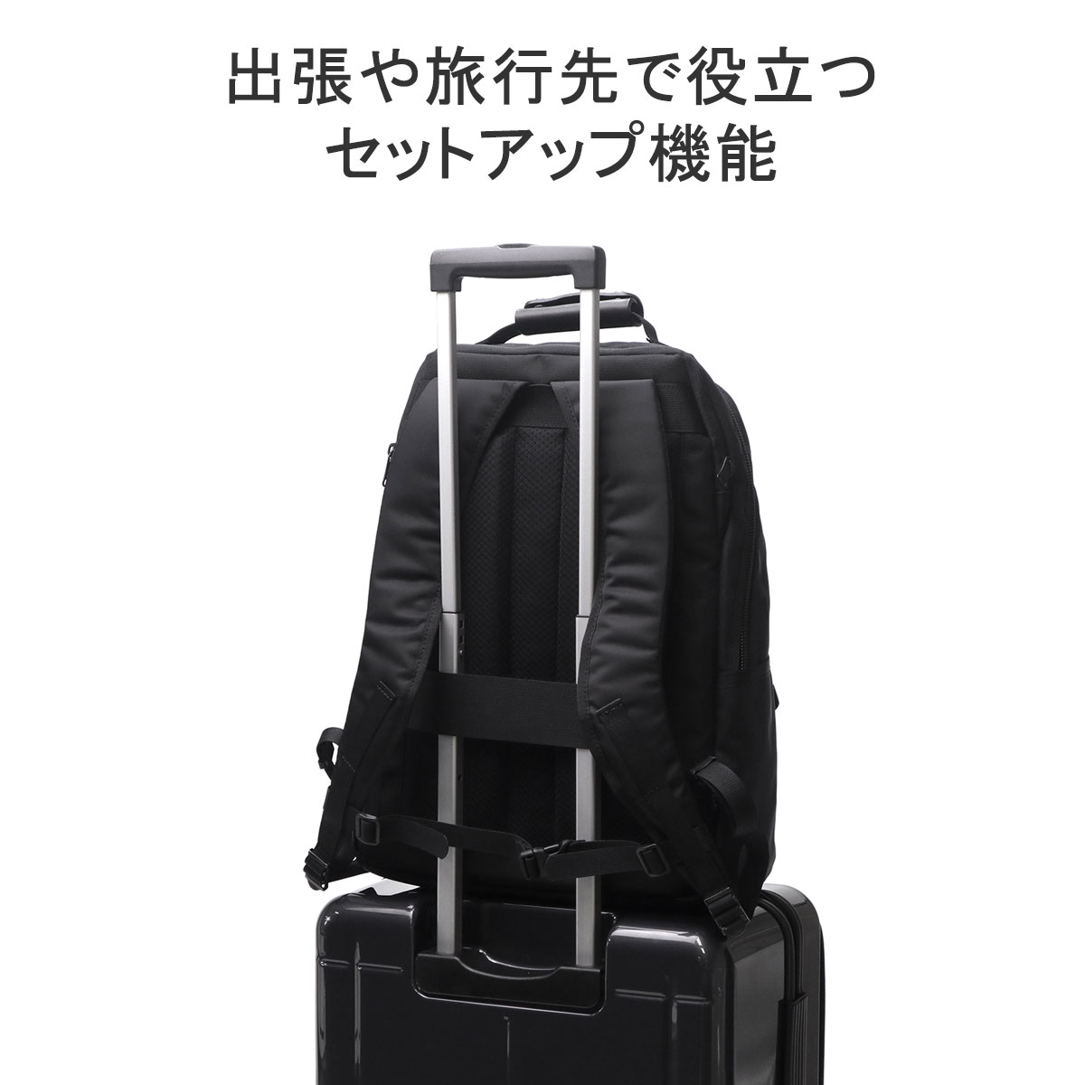 HARVEST LABEL 最大42%☆4/24限定 ハーヴェストレーベル