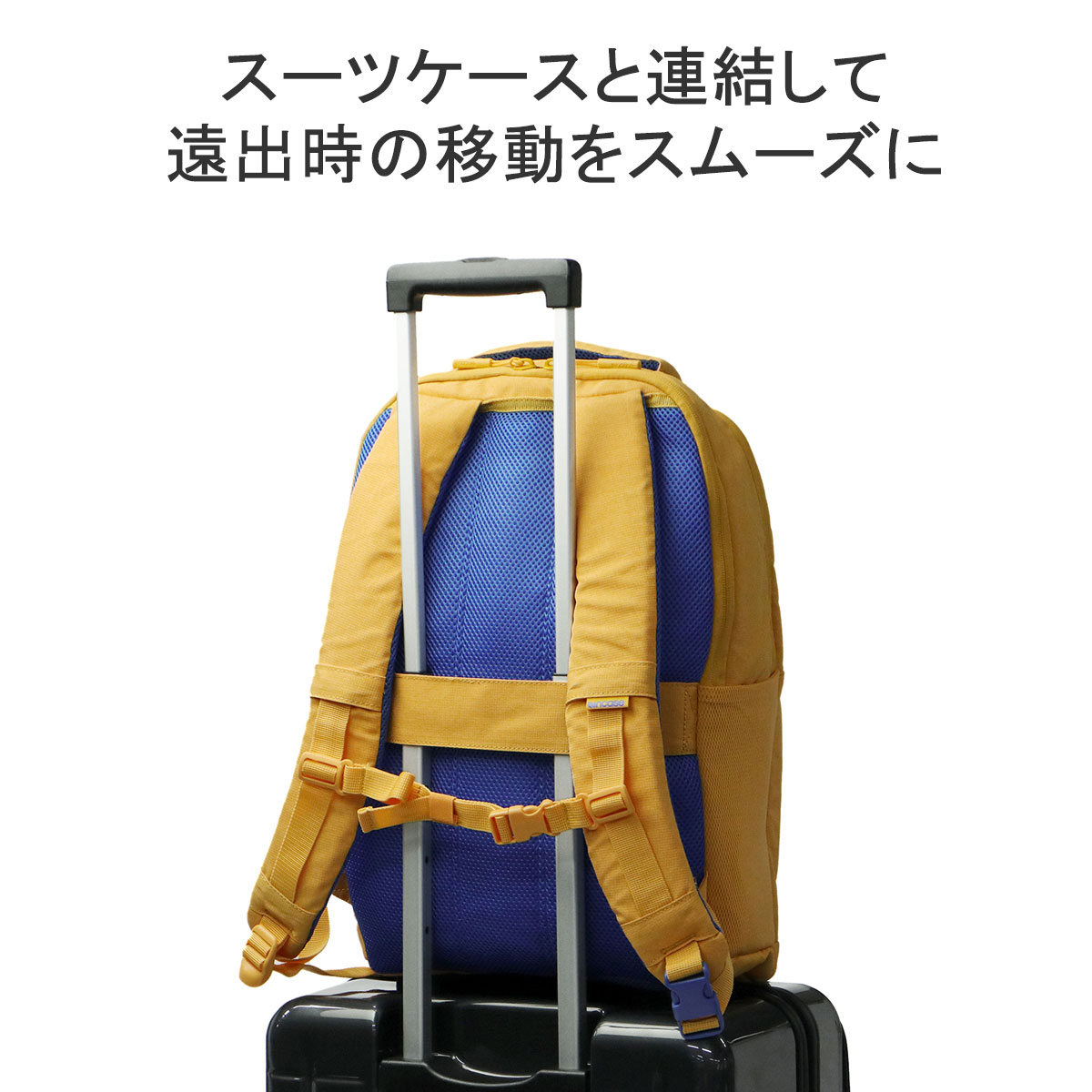 incase 最大36%☆4/22まで 日本正規品 インケース リュック