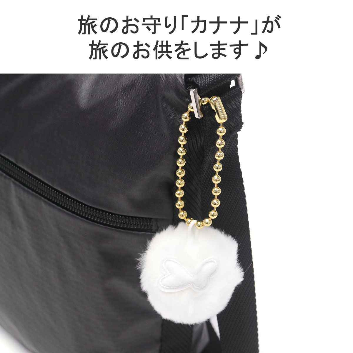 わけぷか 黒6個 白5個 セット