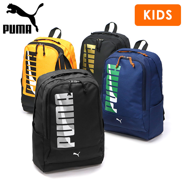pum00036y.jpg