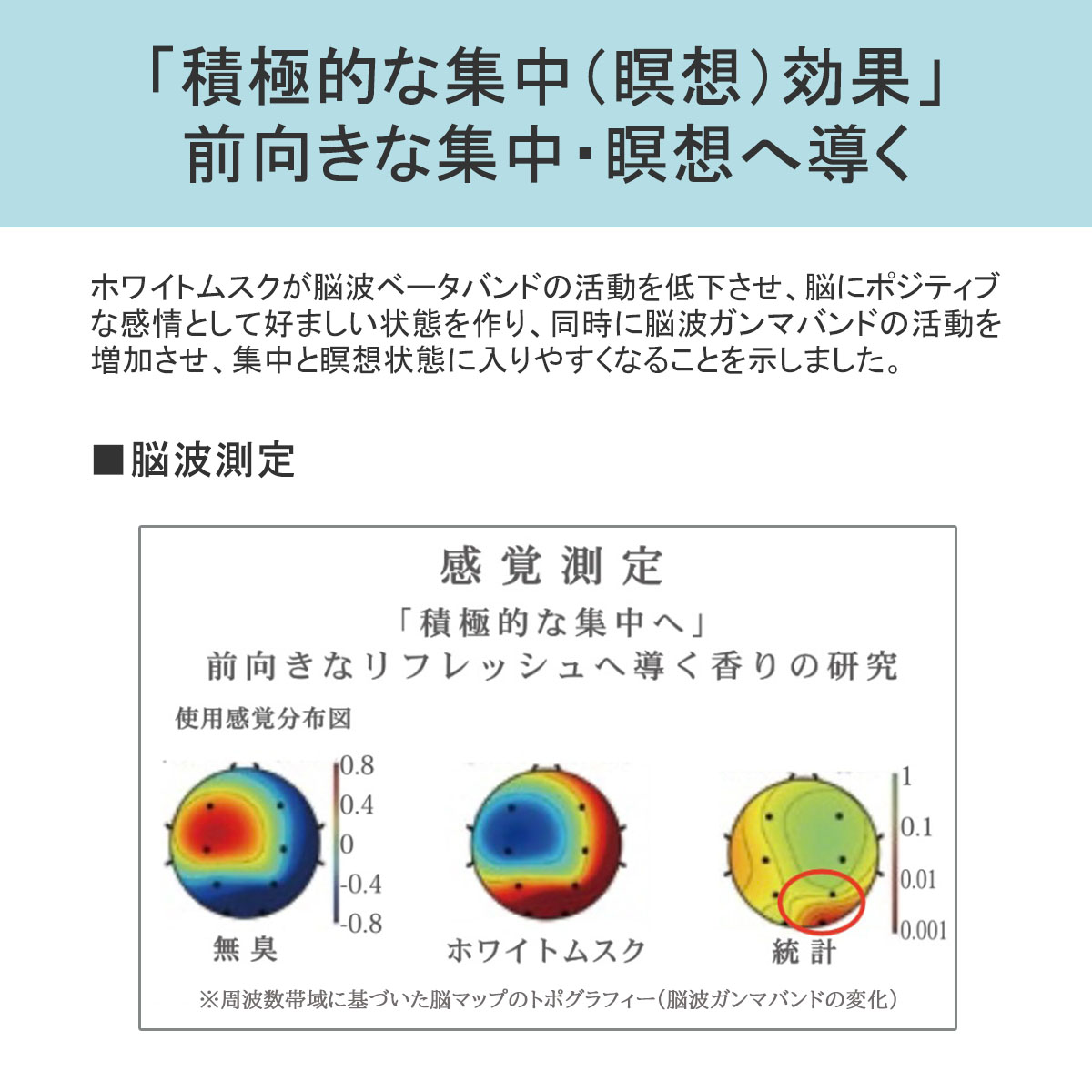 SCIENCE AROMA 最大32%☆4/27限定 サイエンスアロマ ボディ SCIENCE AROMA 最大32%☆4/27限定 サイエンスアロマ ボディ