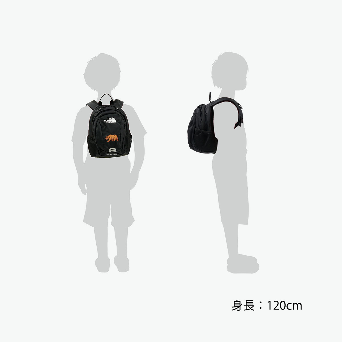 THE NORTH FACE 最大42%☆4/24限定 セール10%OFF 日本正規品 ザ