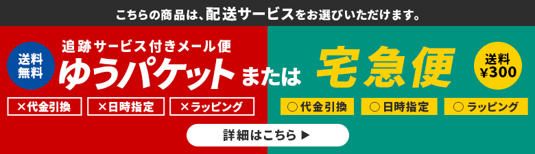 最大31%☆4/5限定 【メール便で送料無料】日本正規品 ザ・ノース