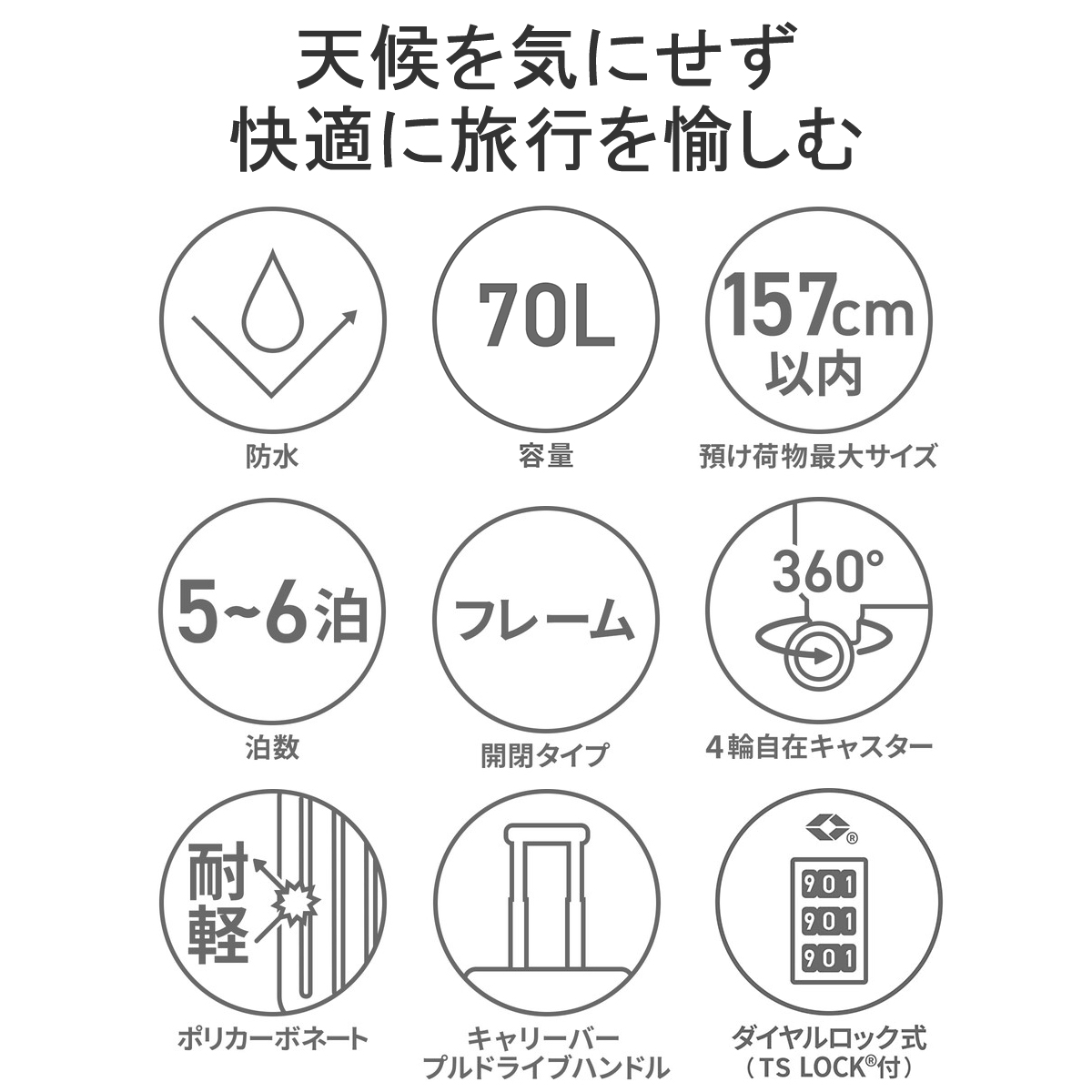 THE NORTH FACE 特典付 日本正規品 ザ・ノース・フェイス スーツ