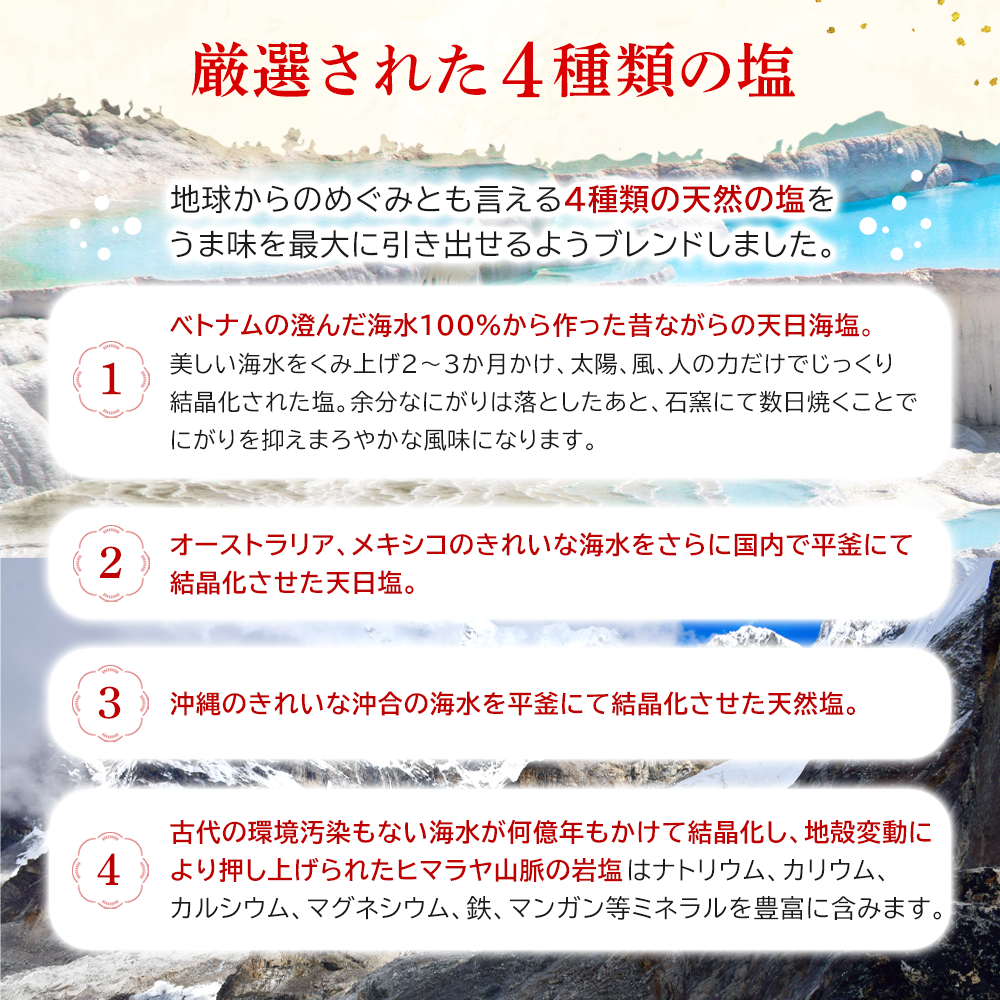 天然塩 【世界4種の旨みを黄金比でブレンド調味】 ヒマラヤ岩塩 岩塩