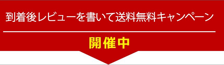 Gallery+ iphone5 iphone6 iphone TPU ハードシリコンiphoneケース カバー001 clear クリア 透明 カラー 色 白 スケルトン