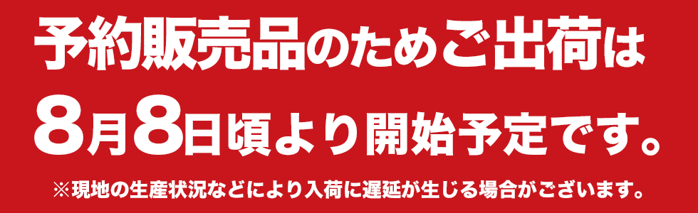 ガネーシャ・サボサンダル予約出荷