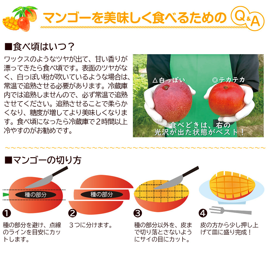 沖縄　宮古島産　完熟マンゴー8kg 家庭用（訳あり） 沖縄産 完熟マンゴー 8kg（16〜24玉） ご自宅用 /訳ありマンゴー 農場