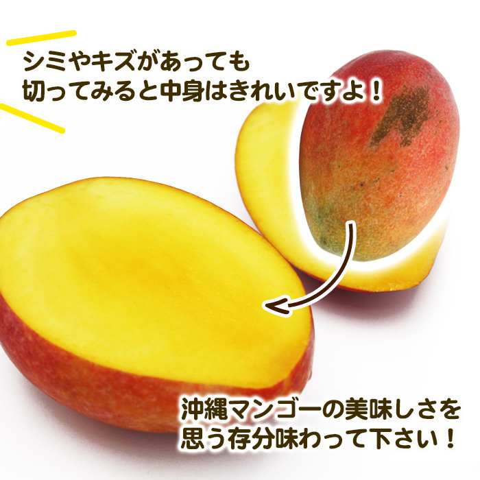 沖縄産 完熟マンゴー 1kg（2〜3玉） ご自宅用 /訳ありマンゴー 農場