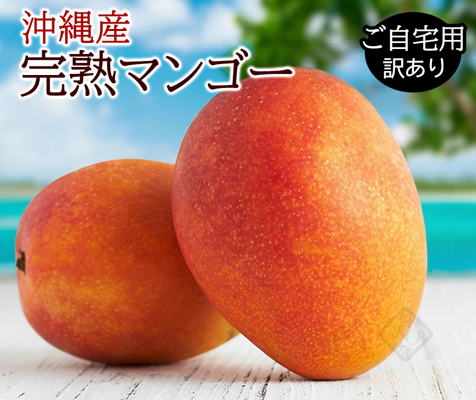 沖縄産 完熟マンゴー 1kg（2〜3玉） ご自宅用 /訳ありマンゴー 農場