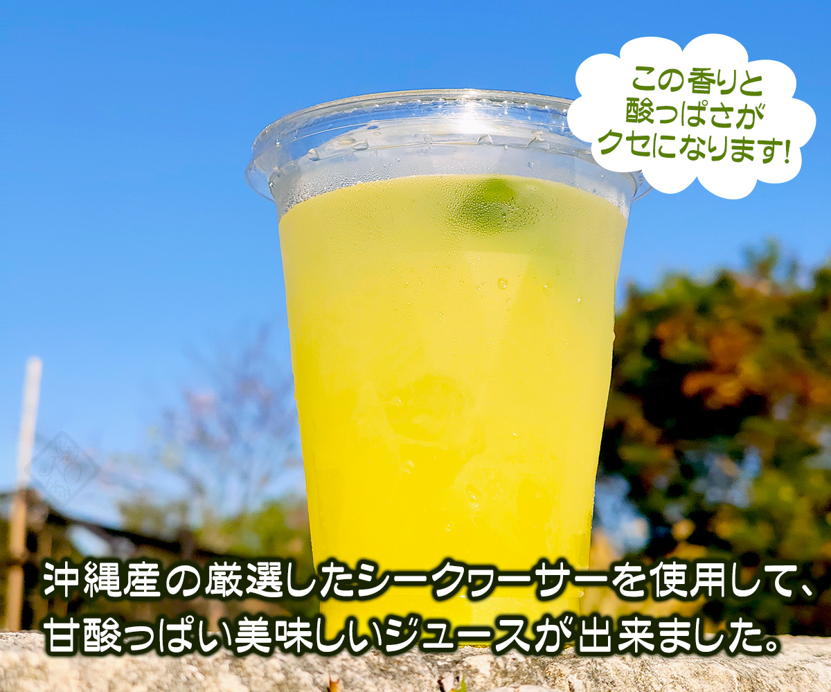 けんしょくシークワーサー 720ml /沖縄産 青切り シークワーサー