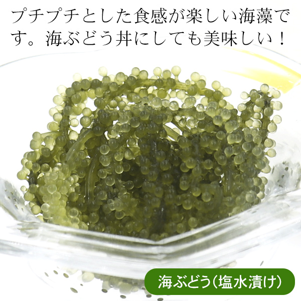 島らっきょう(酢漬け)・海ぶどう(塩水漬け)|...の詳細画像2