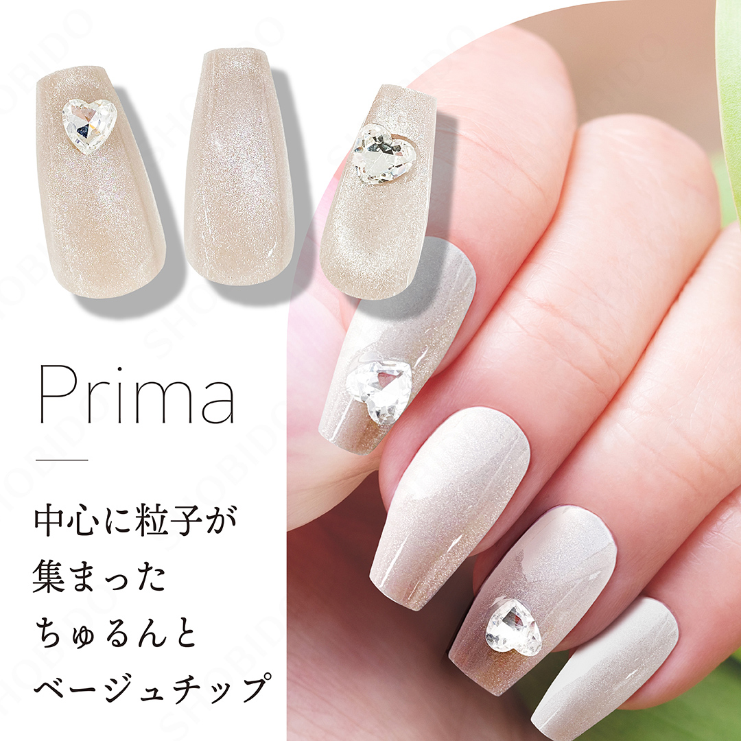 デコラティブネイル マグネットネイルチップ 24pcs 10size 24Nail Tips