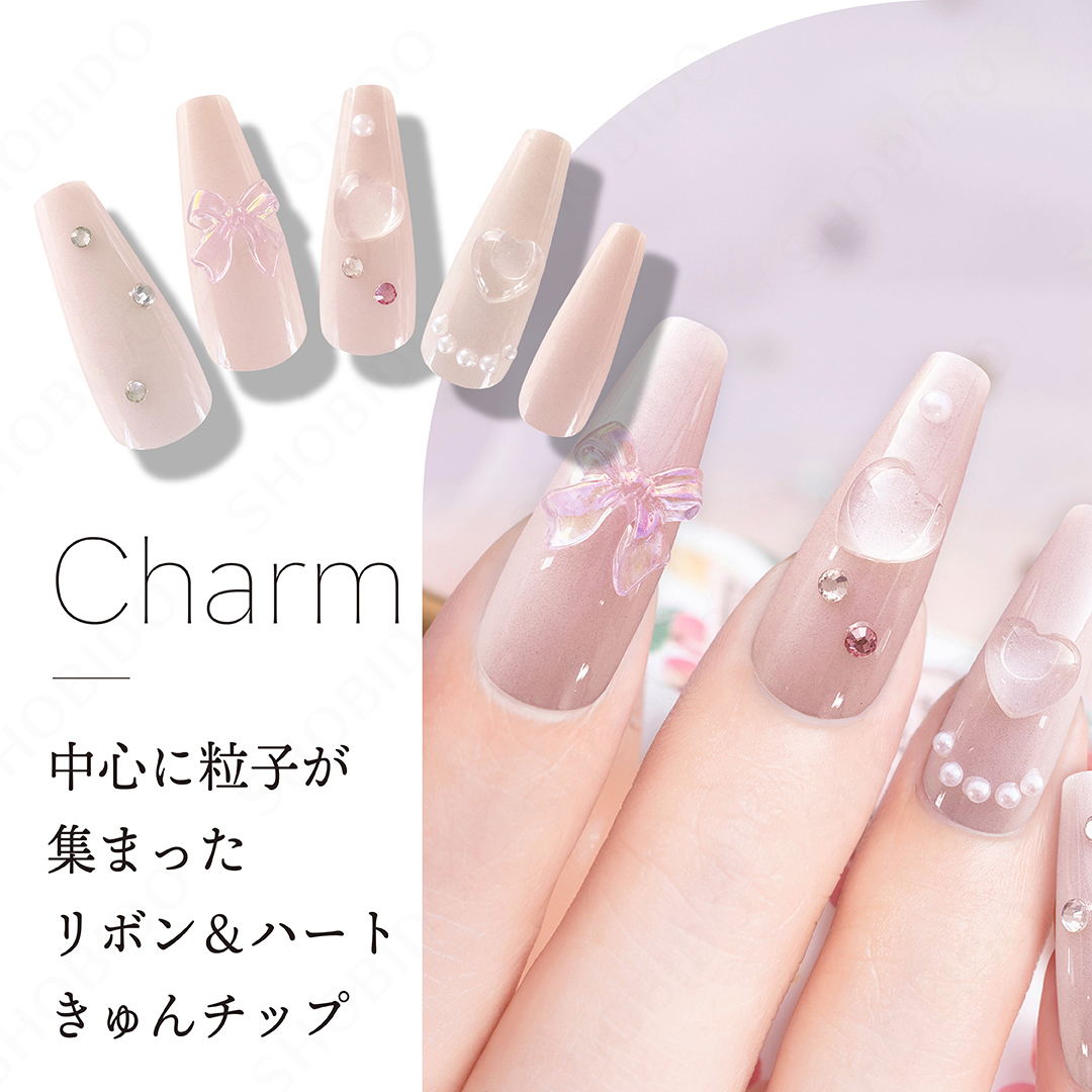 デコラティブネイル マグネットネイルチップ 24pcs 10size 24Nail Tips