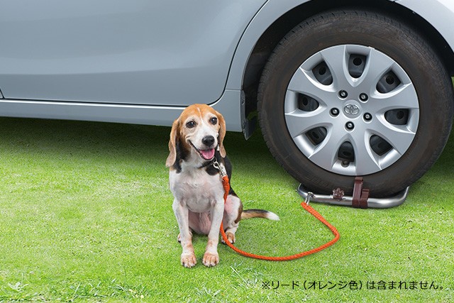 トヨタ トヨタ TOYOTA 純正 アクセサリー リードフック（車両