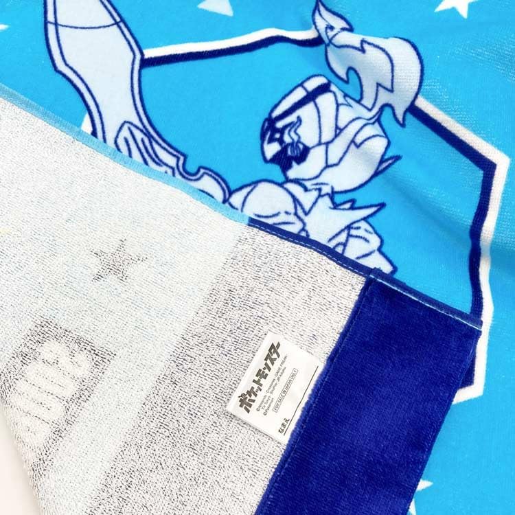 説明